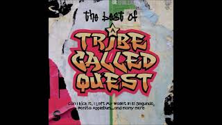 A TRIBE CALLED QUEST  Bonita Applebum 1990 [upl. by Cori856]