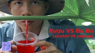 Thử Ủ Rượu Trong Cây Đu Đủ Và Cái Kết Quá Bất Ngờ Uống Rượu Nho Đu Đủ Alcohol VS Papaya [upl. by Nelda416]