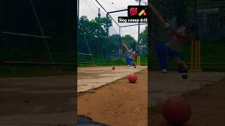 Slog sweep drill viralvideo 😱😱 cricket 🏏trending shorts [upl. by Aivirt]