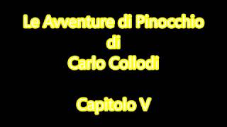 Audiolibro C Collodi Le Avventure di Pinocchio  Capitolo V [upl. by Sivatnod]