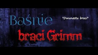 Bracia Grimm  Dwunastu braci  AUDIOBOOK [upl. by Suoivatra]