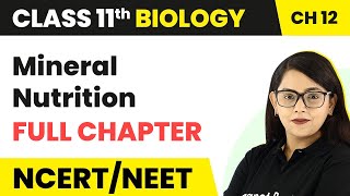 Mineral Nutrition  Full Chapter Explanation  Class 11 Biology Chapter 12  NCERTNEET [upl. by Hadley]