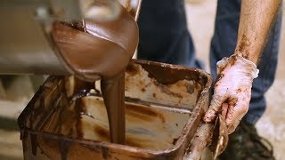 How Chocolate is Made [upl. by Pepin]