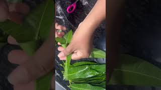 Mango leaf thoranam making at home  mangoleafdecoration mangoleafthoran leafdecoration [upl. by Bedell867]