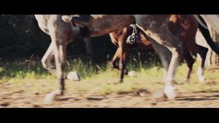 Trailer Toscana Endurance Lifestyle 2017 [upl. by Sihon]