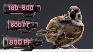 Nikon 180600 vs 600 PF vs 800 PF [upl. by Kaz313]