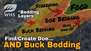 How To Create Buck and Doe Bedding Areas [upl. by Aneeuqal715]