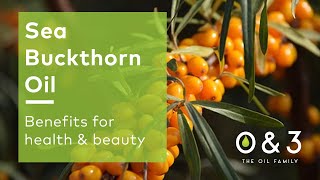 Sea Buckthorn Oil  benefits for skin and hair formulations [upl. by Aspasia]