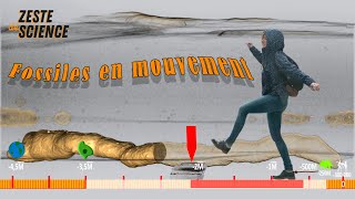 Fossiles en mouvement  ZdS27 [upl. by Crompton]