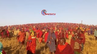 WAMASAI NGORONGORO WACHACHAMAA WATAKA HAKI ITENDEKE [upl. by Anitsirt]