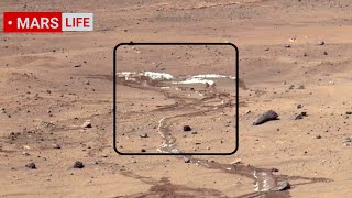 NASA Mars Rover Sent Super Incredible Footage of Mars Perseverance and Curiosity Rover Mars in 4K [upl. by Daisy256]