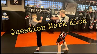 Question Mark Kick 13 year old with power [upl. by Campbell]