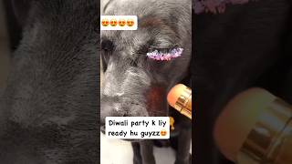 Diwali ki party ka liya ready giyzz ❤❣️🥰😉 shorts doglover labrador dog trending [upl. by Kartis]