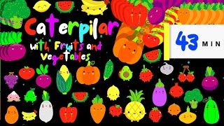 Caterpillar Sensory Fruits and Vegetables  More Hight Contrast Eye Tracking  Baby Sensory [upl. by Lesab]