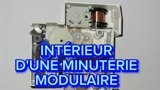 Intérieur dune minuterie modulaire Schneider Electric avec bobinage et contacts Schneider Cuivre [upl. by Rivard]