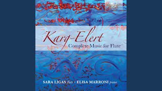 30 Caprices for Flute Solo Op 107 V Allegro giusto [upl. by Sloane]