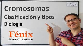 Cromosomas clasificación y tipos [upl. by Marte]