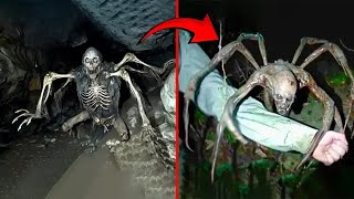 These Strange Creatures Were Locked Away for Years Heres Why [upl. by Annoyi]