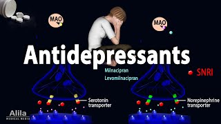 Pharmacology  Antidepressants Animation [upl. by Robina]