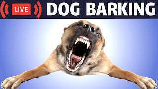 Dog Barking Sound  Dogs Barking Live Bark [upl. by Alexandros]