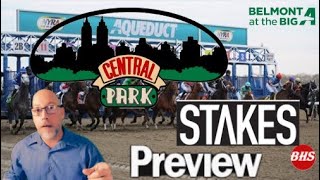 Aqueduct Racing  Central Park Stakes Preview [upl. by Emmery]