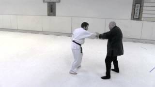 Aikido Release Chains Free Play 1 [upl. by Ahseele]