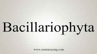 How To Say Bacillariophyta [upl. by Isaak327]