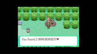 How to get Oran Berry in Pokemon Emerald [upl. by Taka]