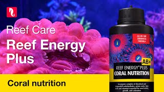 Red Sea Reef Energy Plus  Complete allinone Coral Food [upl. by Aehsrop882]