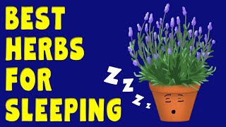 The BEST HERBS for SLEEPING  Herbs for insomnia  herbal sleep remedies [upl. by Bertrando]