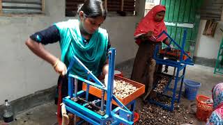 Cashew Nuts Cutting in Bangladesh [upl. by Tabbi]