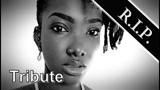 Ebony Reigns ● A Simple Tribute [upl. by Annavoeg]