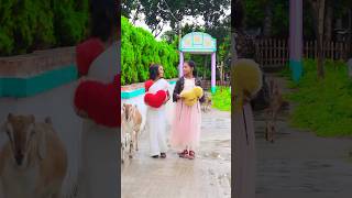 Golap Fuler Kata গোলাপ ফুলের কাঁটা new 2024 vairal song 🥀🥀🥀 [upl. by Elnore898]