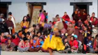 Blacknecked Crane Festival in Bhutan by Seth Masarik [upl. by Adey]