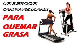 Los Ejercicios Cardiovasculares Para Quemar Grasa y Perder Peso [upl. by Pyszka44]