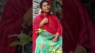 Puliyarai karuppasamy official subscribe tamil [upl. by Dorina]