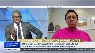 Analyst discusses potential effects of EUs Carbon Border Adjustment Mechanism [upl. by Tiertza]