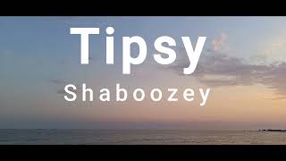 Shaboozey  Tipsy [upl. by Ecnarretal33]