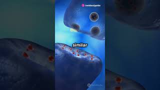 Cell Signalling Explained  science biology knowledge facts shorts shortsvideo shortsfeed [upl. by Ahsinrats]