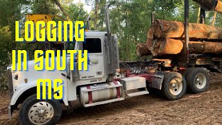 Logging in South Mississippi a week of Logtruck driving [upl. by Ueihttam]