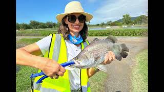 Barra Fishin Catch amp Release at Daintree Saltwater Barramundi Farm FNQ [upl. by Janeczka]