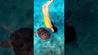 No5 Best Maldives Resort 2024  YOUR Top 10 Choice  The Nautilus Maldives luxurytravel [upl. by Elamor]