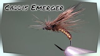 Tying a Caddis Emerger dry fly patternTorill Kolbu woven body and tilt wing style [upl. by Virgin278]