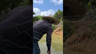 Cascudo gigante videoviral peixe vivendonocampo vidanocampo [upl. by Guendolen]