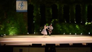 Marina Kudryashova Oleg Rogachev  La Sylphide pas de deux chor A Bournonville Varna IBC 2014 [upl. by Yntrok849]