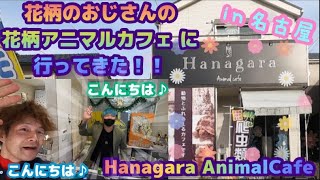 花柄のおじさんの『花柄アニマルカフェ』に行ってきた♪ Hanagara Animal Cafe in Nagoya [upl. by Yuille]