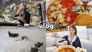 먹방vlog 겨울 너 드디어 왔구나  굴찜석화만두전골 레시피까르보불닭양파장아찌단독주택 첫겨울붕어빵쌀국수랭쌥 [upl. by Accemahs]