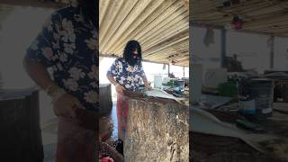 Huge Trevally Fish Cutting  Fish Cutting Master [upl. by Delaine749]