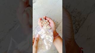 Cowrie shell from messho😊shortsfeed shorts shortvideo cowrieshell meeshocowrie diy unboxing [upl. by Nnylaehs]