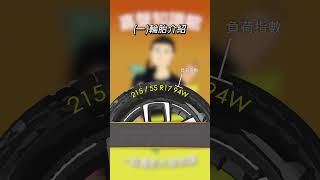 輪胎知多少 汽車改裝 改裝 學習 駕駛 推薦 知識 [upl. by Palmore]